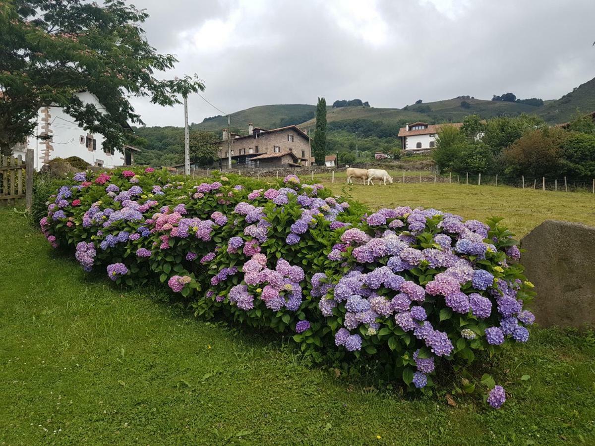 Casa Rural Petisansenea II Zuaztoy de Azpilcueta Екстер'єр фото